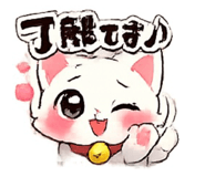 855246408