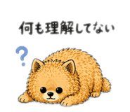 855246888