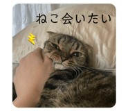 855246907