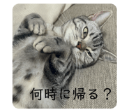 855246908