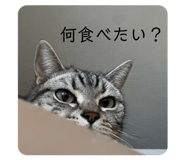 855246909