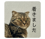 855246915