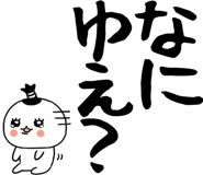 855248076