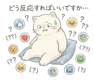 855248133