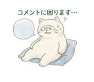 855248136