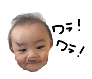 855252286