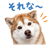 855254028
