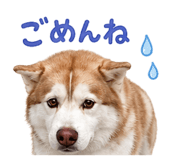 855254047