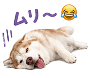 855254048