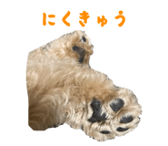 855255130