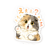855255186