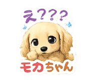 855255493