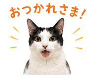 855255563