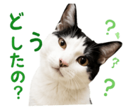 855255583