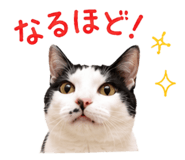 855255587