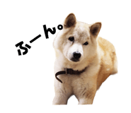 855255763