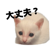 855255764