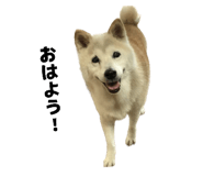 855255765
