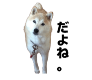 855255766