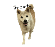 855255768