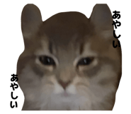 855255881