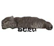 855255882