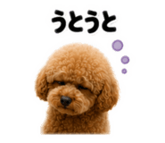 855256188