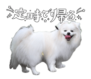 855256612