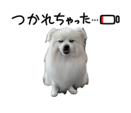 855256615