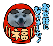 855256629