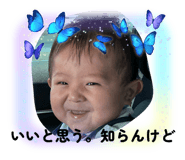 855256674