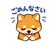 855256704