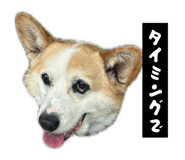 855256833