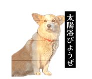 855256834