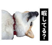 855256836