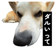 855256837