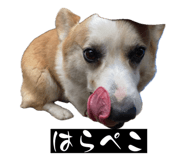 855256840