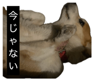 855256841