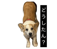 855256842