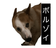 855256843