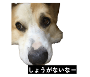 855256846
