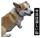 855256852