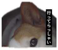 855256853