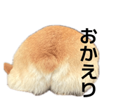 855256854