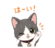 855256987