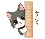 855256990