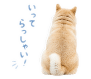 855257375