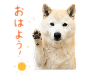 855257376