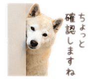 855257382