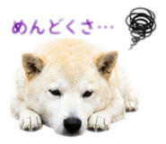 855257393